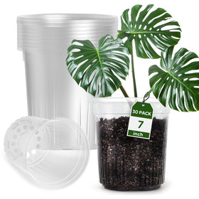 Bluepro 30-pack, 1-gallon reinforced clear nursery pot with transparent view for root monitoring