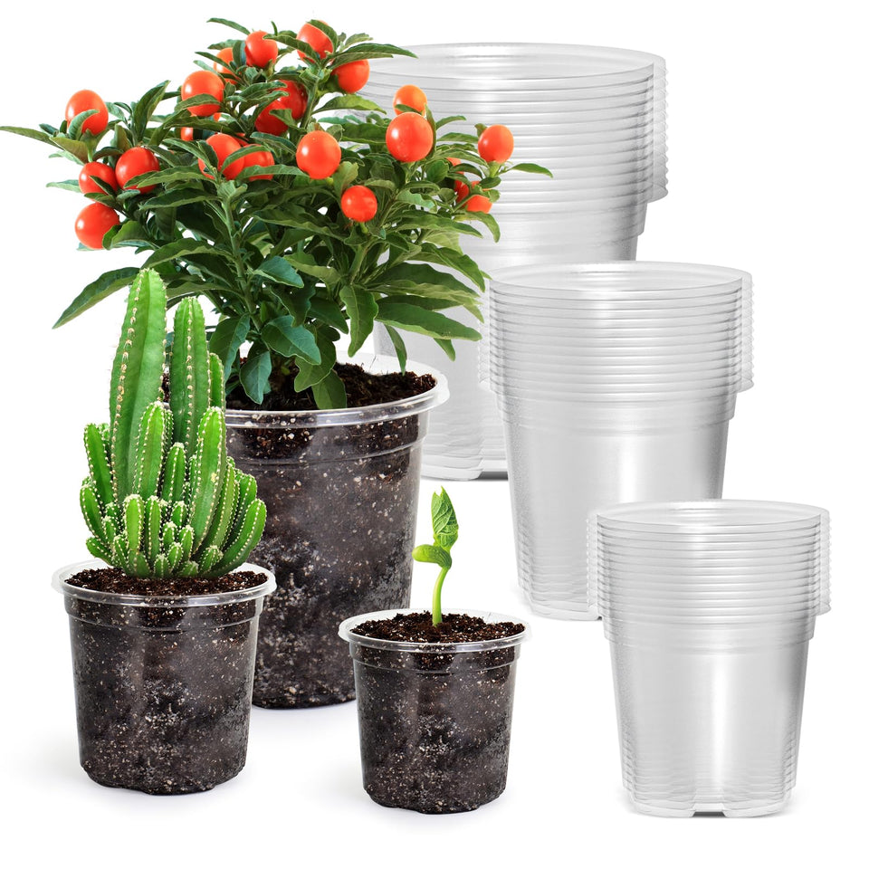 Bluepro 36-pack clear nursery pots viewed as an assembly for seed starting and propagation.