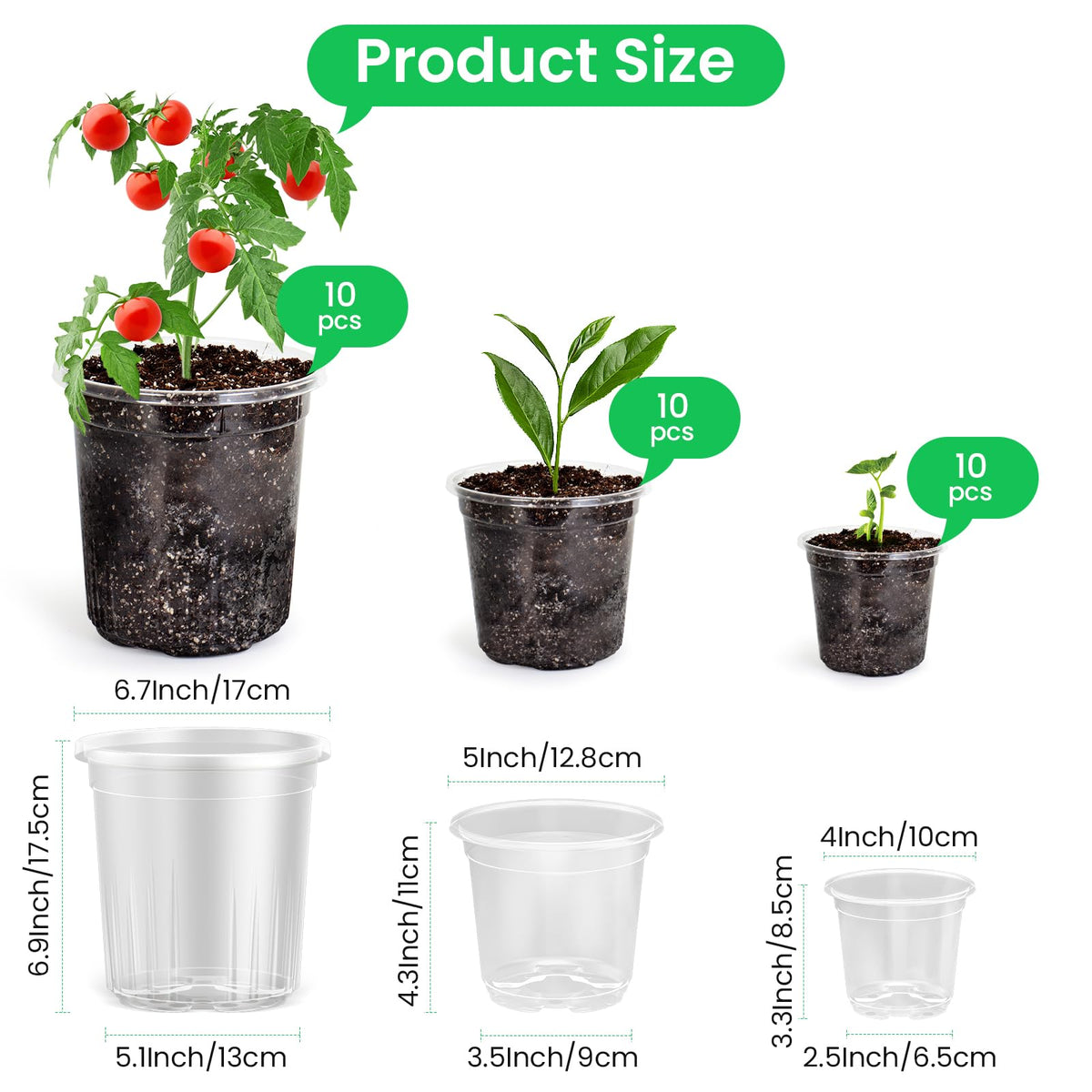 Bluepro 5-inch clear pot showing root growth for easy seedling monitoring.