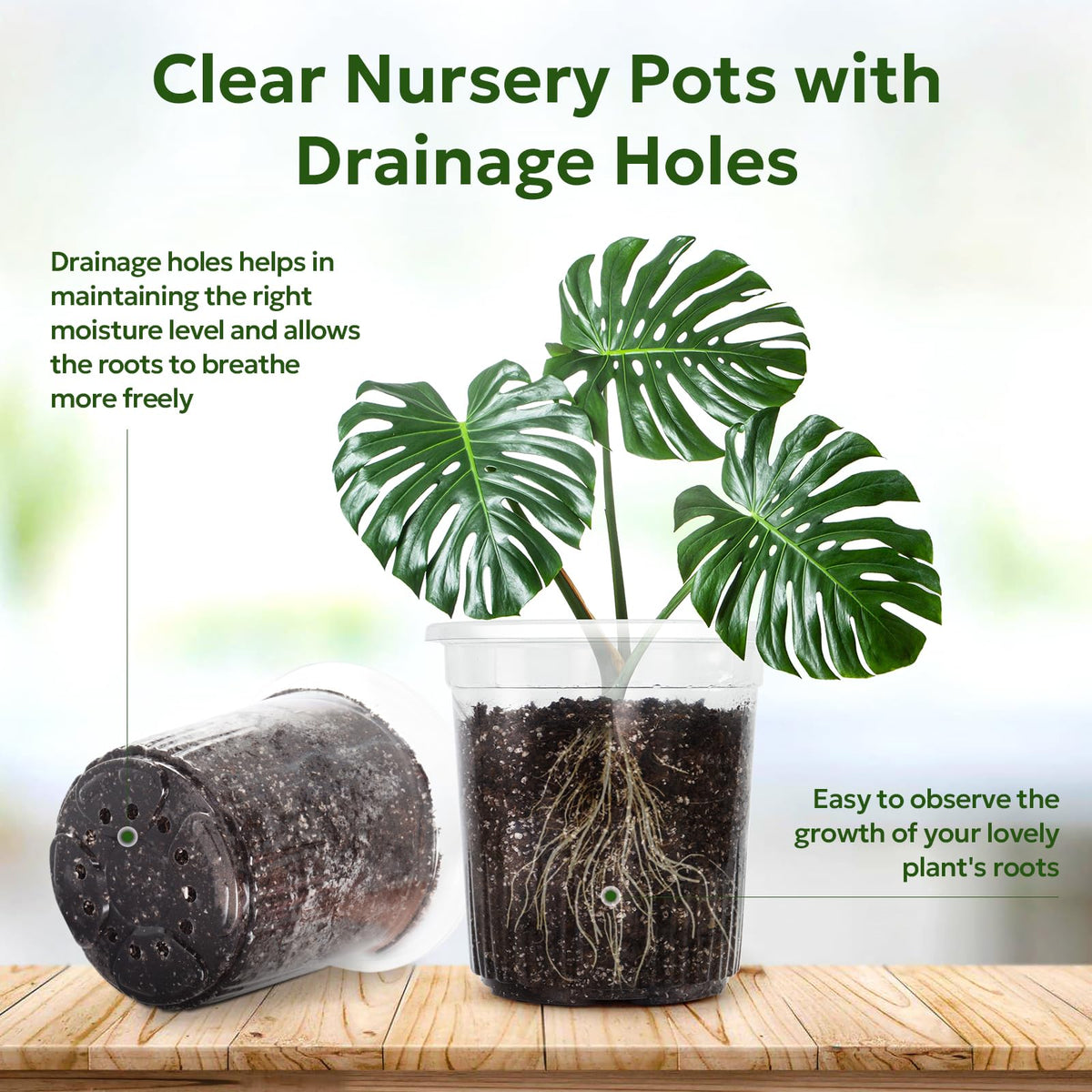 Bluepro 7-inch seedling propagation pot ideal for starting cuttings and seedlings