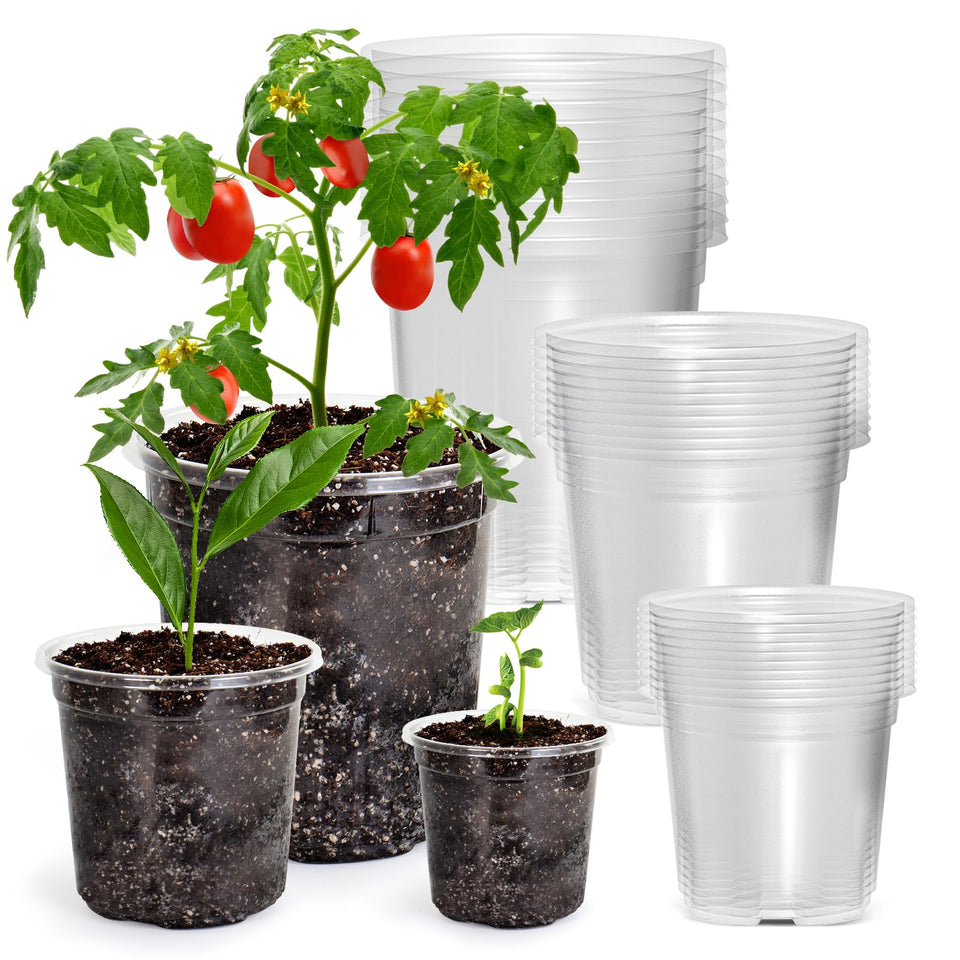 Bluepro 7-inch clear planter with visible root zone for quick health checks.