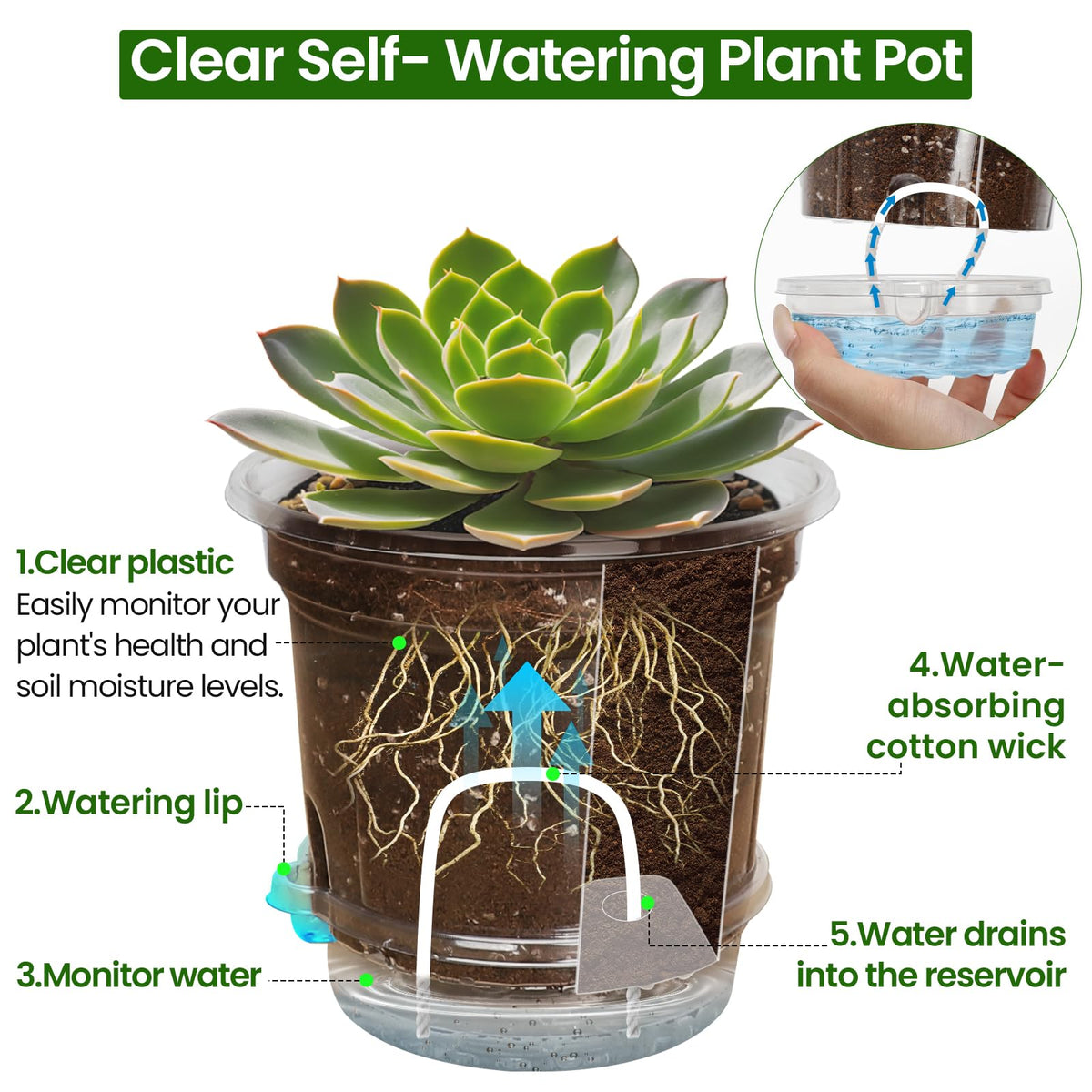 Bluepro bottom-water tray and rope keeps seedlings hydrated.
