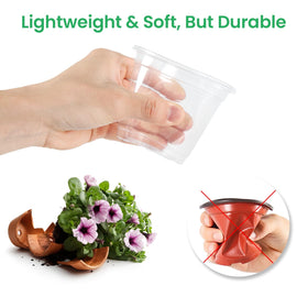 Bluepro clear pot 3-5-inch ideal for seeds and cuttings with visibility.