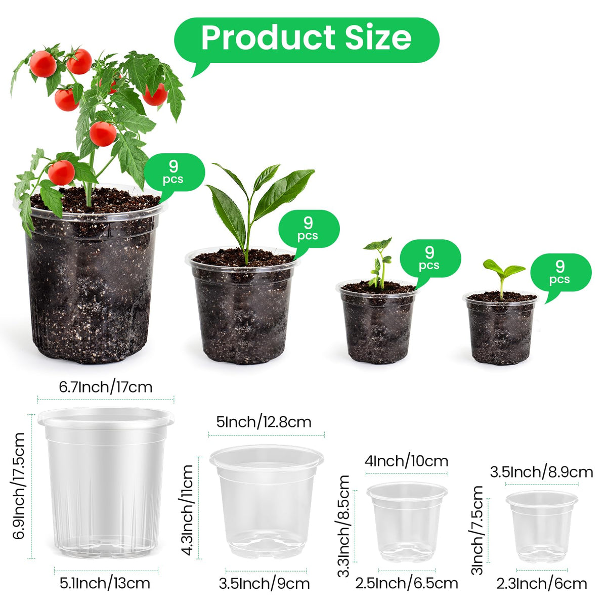 Bluepro clear pot 5-inch enables quick root growth monitoring and moisture checks.