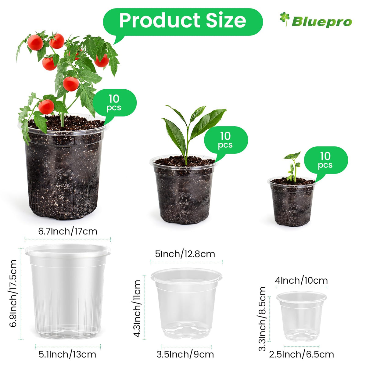 Bluepro clear pots showing drainage holes to support airflow and root health.