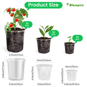 Bluepro clear pots showing drainage holes to support airflow and root health.