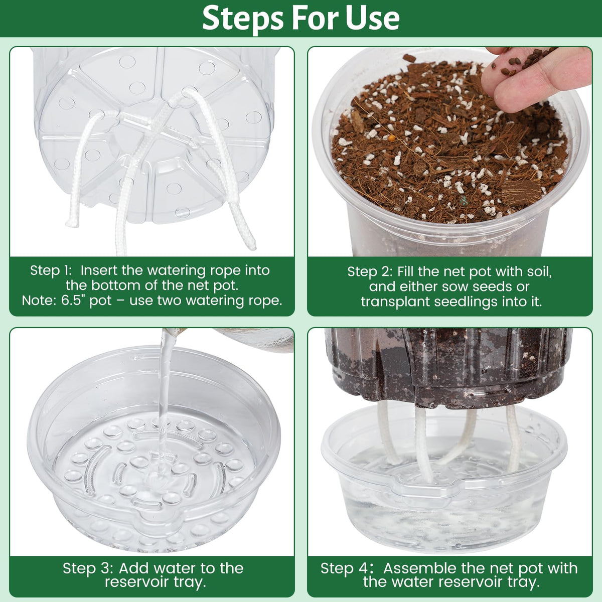 Bluepro clear 4-inch pot is ideal for compact herbs.