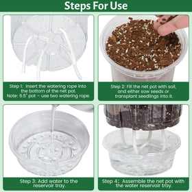 Bluepro clear 4-inch pot is ideal for compact herbs.