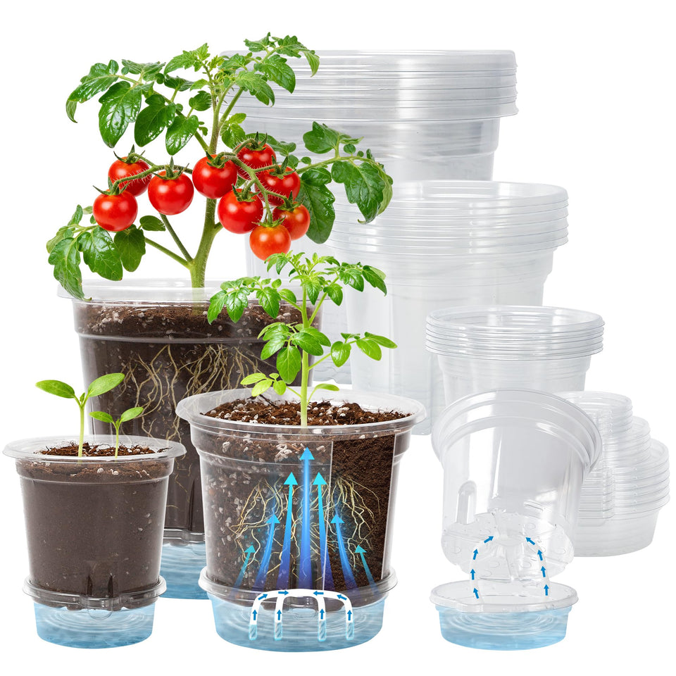 Bluepro clear self-watering pot 6.5-inch with bottom tray maintains moisture.