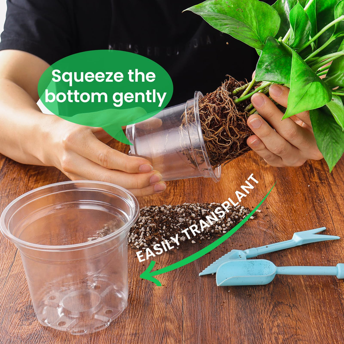 Bluepro drainage-hole bottom supports airflow and reduces overwatering risk.