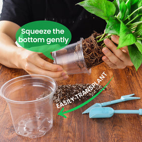 Bluepro drainage-hole bottom supports airflow and reduces overwatering risk.