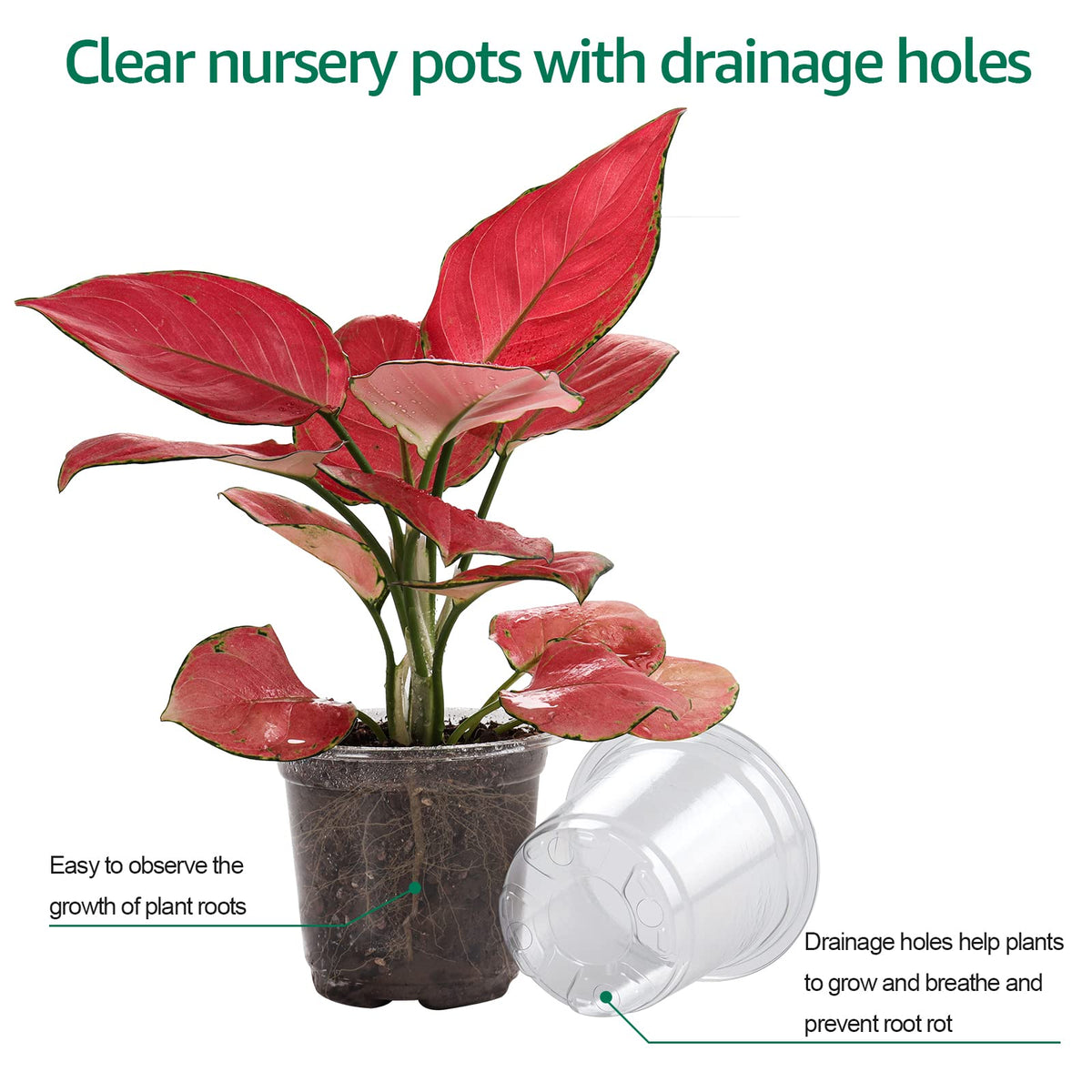 Bluepro durable reusable plastic pot designed without recycled materials