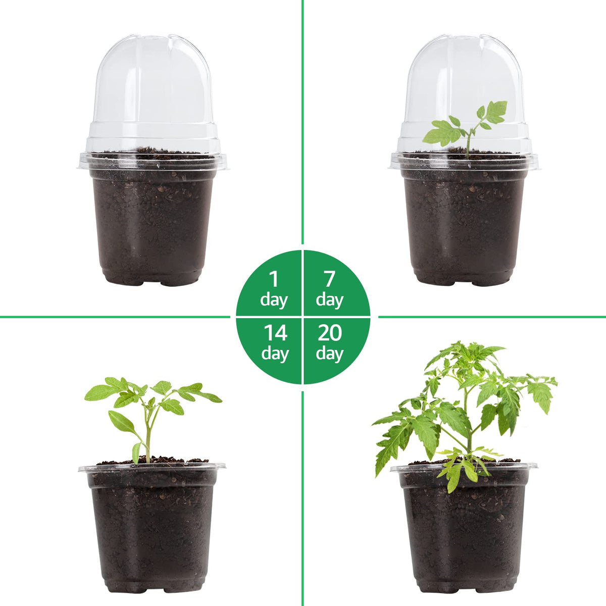Bluepro easy-transplanting pot with flexible walls for gentle removal