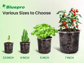 Bluepro reinforced plastic pots offer durability and reusable design.