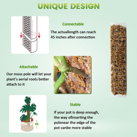 Bluepro semi-cylindrical moss pole design improves root attachment.
