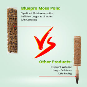 Bluepro moss pole pairs with sphagnum moss for moisture retention.