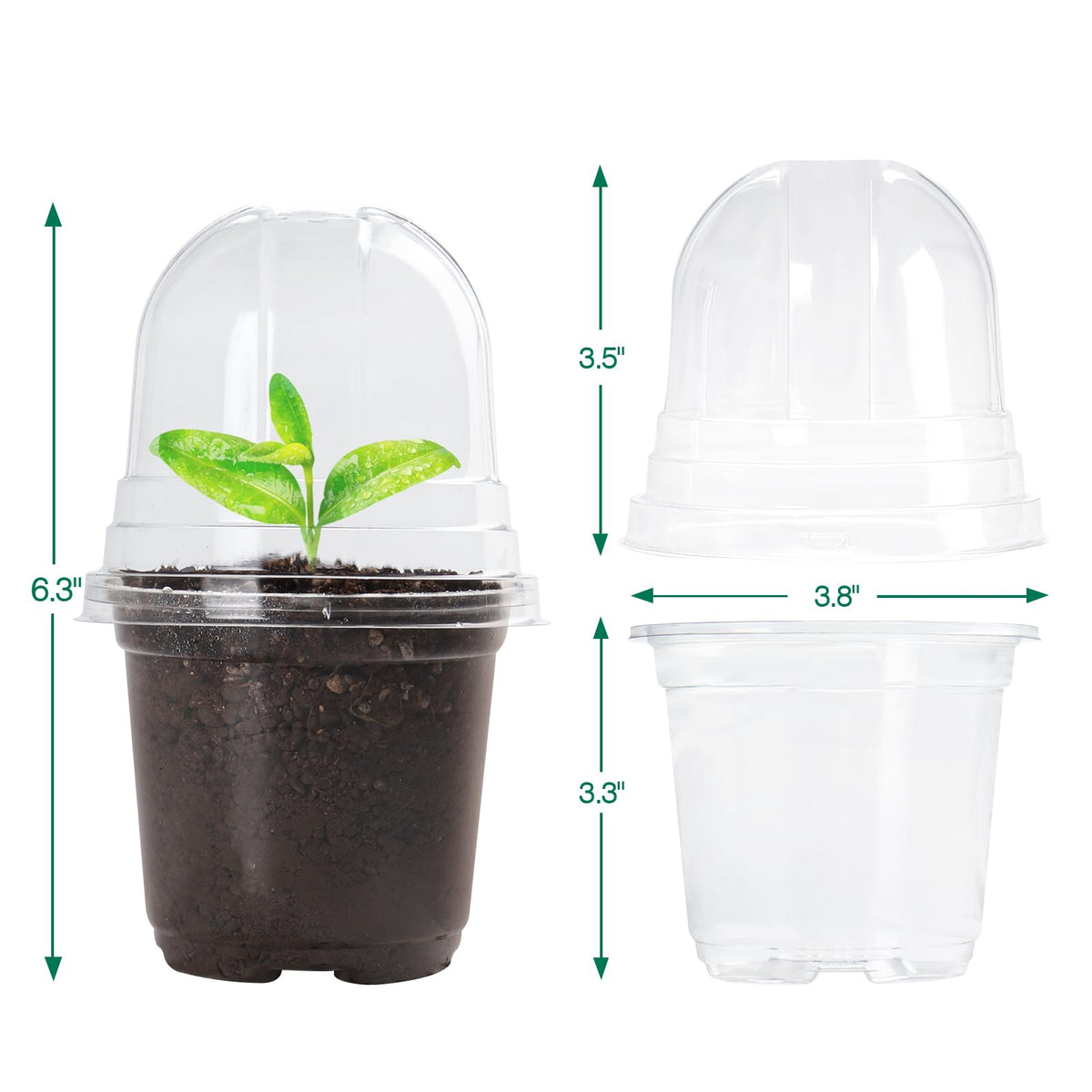 Bluepro transparent BPA-free plastic pot for easy germination observation and root growth