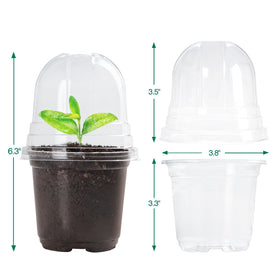 Bluepro transparent BPA-free plastic pot for easy germination observation and root growth