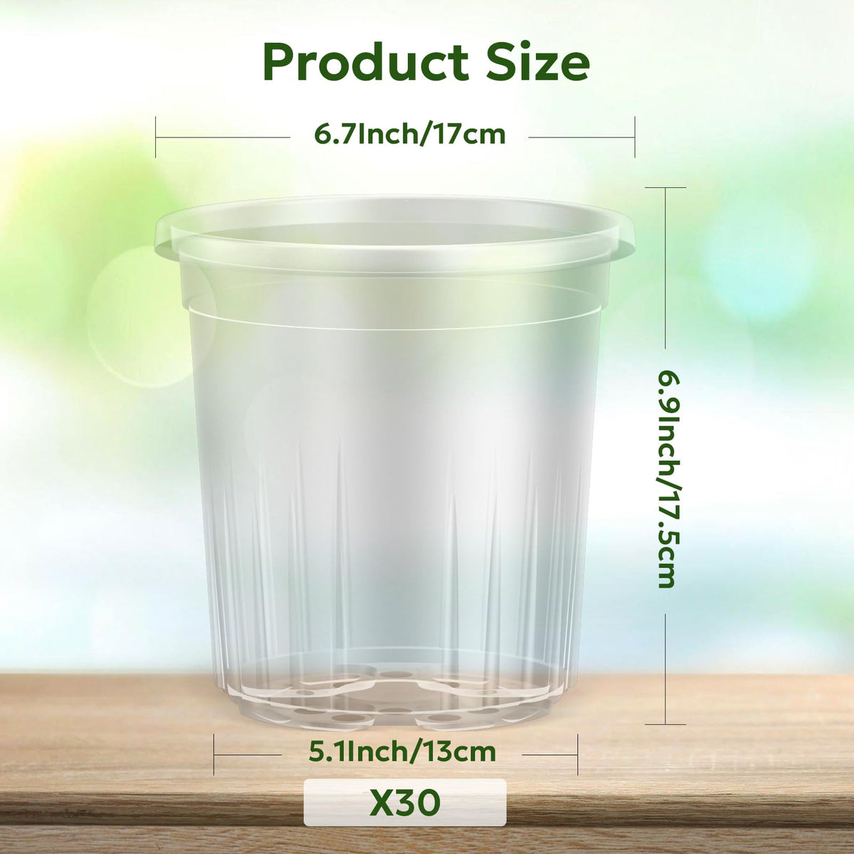 Bluepro transparent design pot enables quick root observation during propagation
