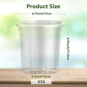 Bluepro transparent design pot enables quick root observation during propagation