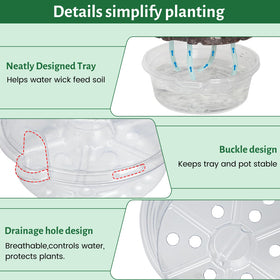 Bluepro transparent pot lets you monitor moisture and roots.