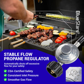 BlueStars 5-20 lb tank adapter hose for easy tank-to-grill swaps.