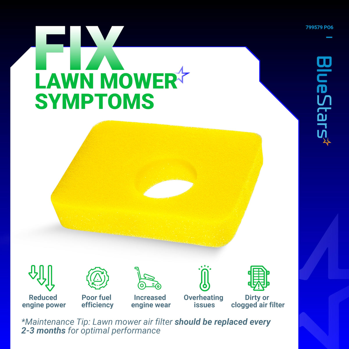 BlueStars 799579 foam filter compatible with 550E-550Ex engines for broad mower compatibility.
