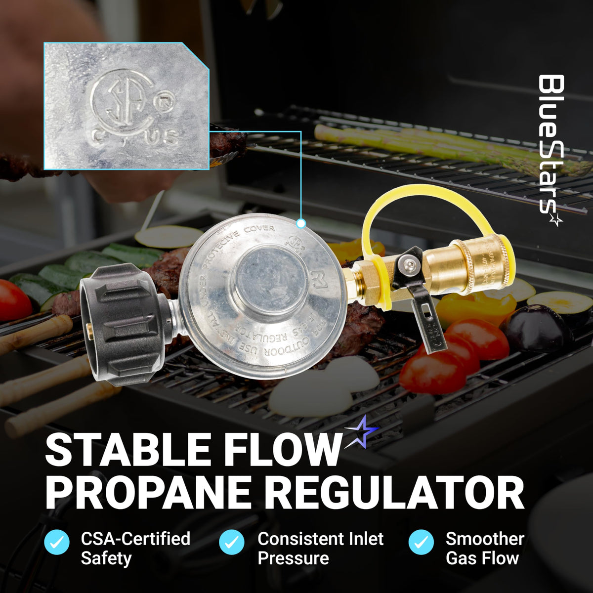BlueStars 6-foot gas line enables flexible propane placement.