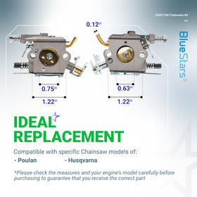 BlueStars carburetor with cleaner and fuel filter kit laid out for comparison