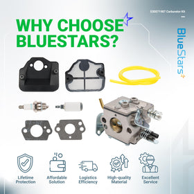BlueStars maintenance kit and performance upgrade for chainsaws