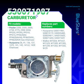 BlueStars carburetor with spark plug and kit components ready for maintenance