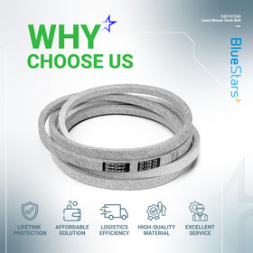BlueStars belt includes lifetime protection for peace of mind.