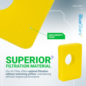 BlueStars foam filter 799579 pair highlights long-lasting filtration material.
