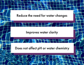 Bluewater Spa Enzymes foam-control demonstrates reduced foam in hot tubs.