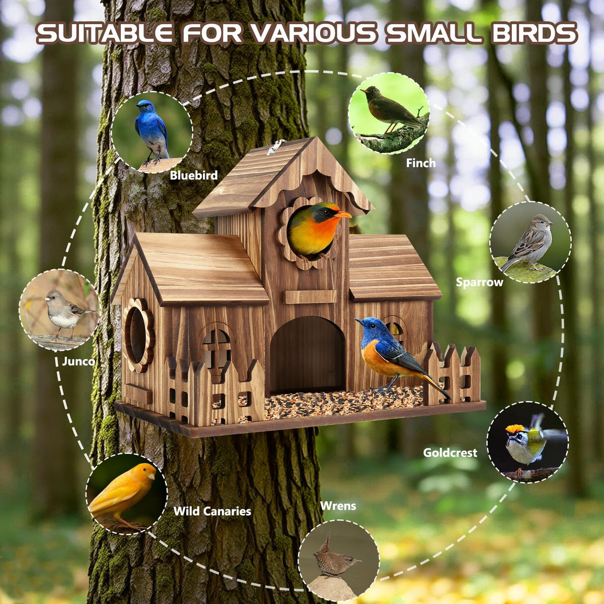 BlueYu birdhouse large main entrance simplifies cleaning and debris removal.