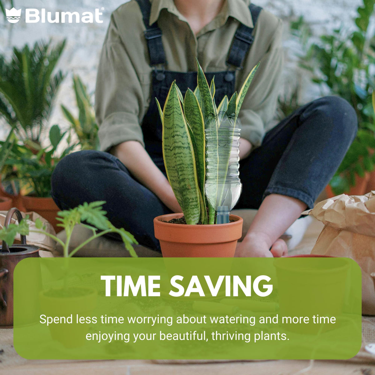 Blumat bottle-based watering system in action for healthy indoor plants