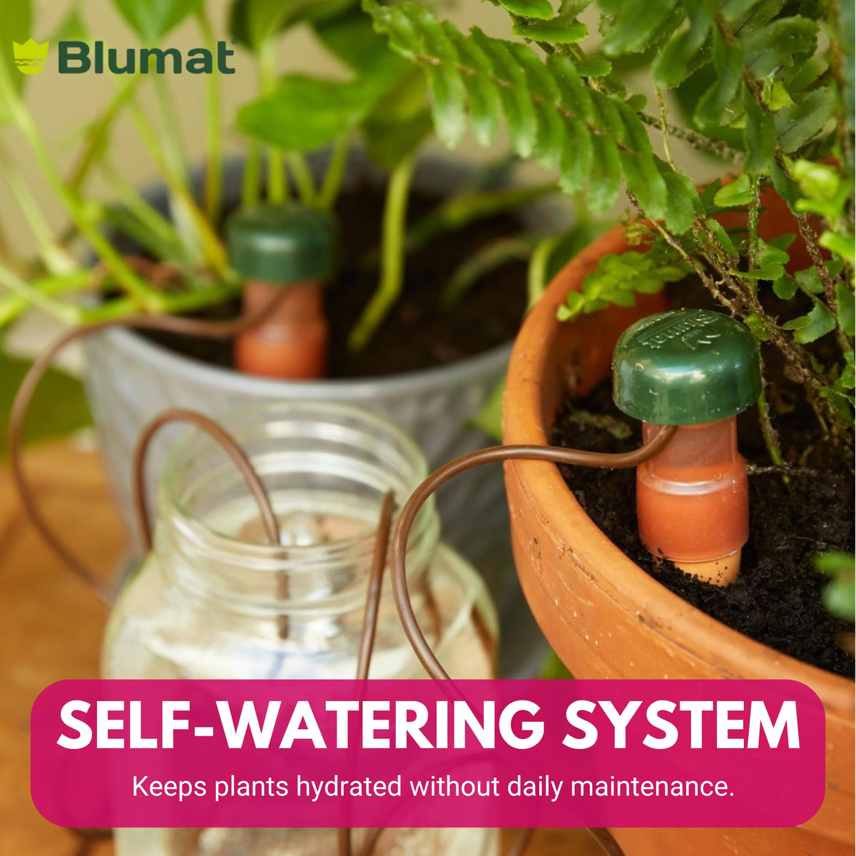 Ideal for busy households, keeps plants hydrated while you're away.