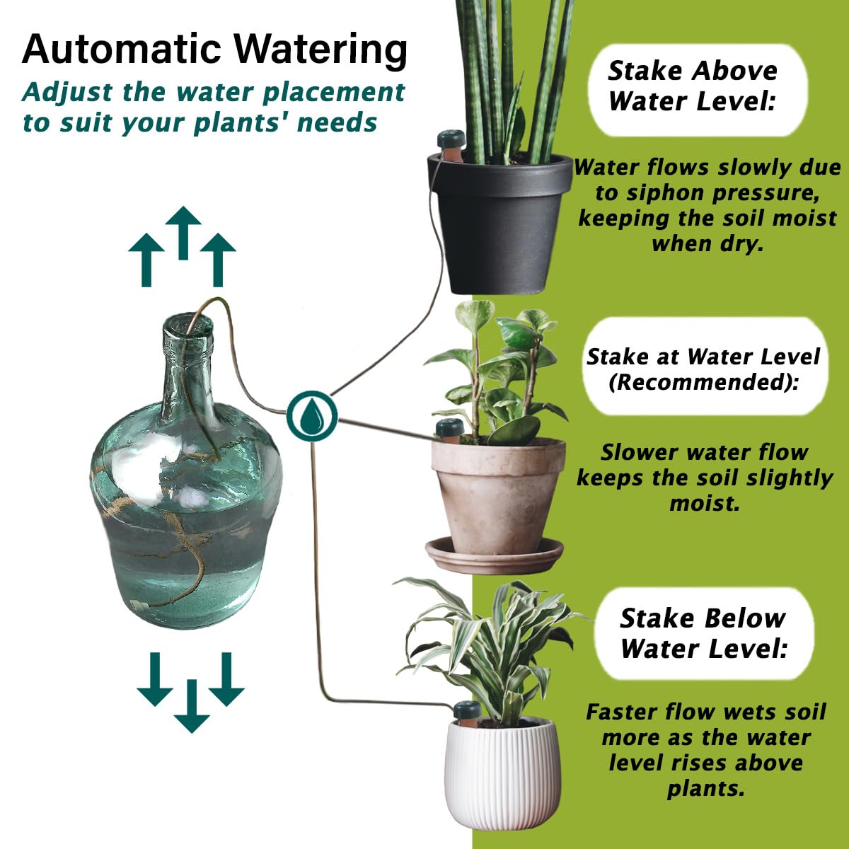 Indoor plants watered by Blumat stakes without fuss.