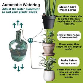 Indoor plants watered by Blumat stakes without fuss.