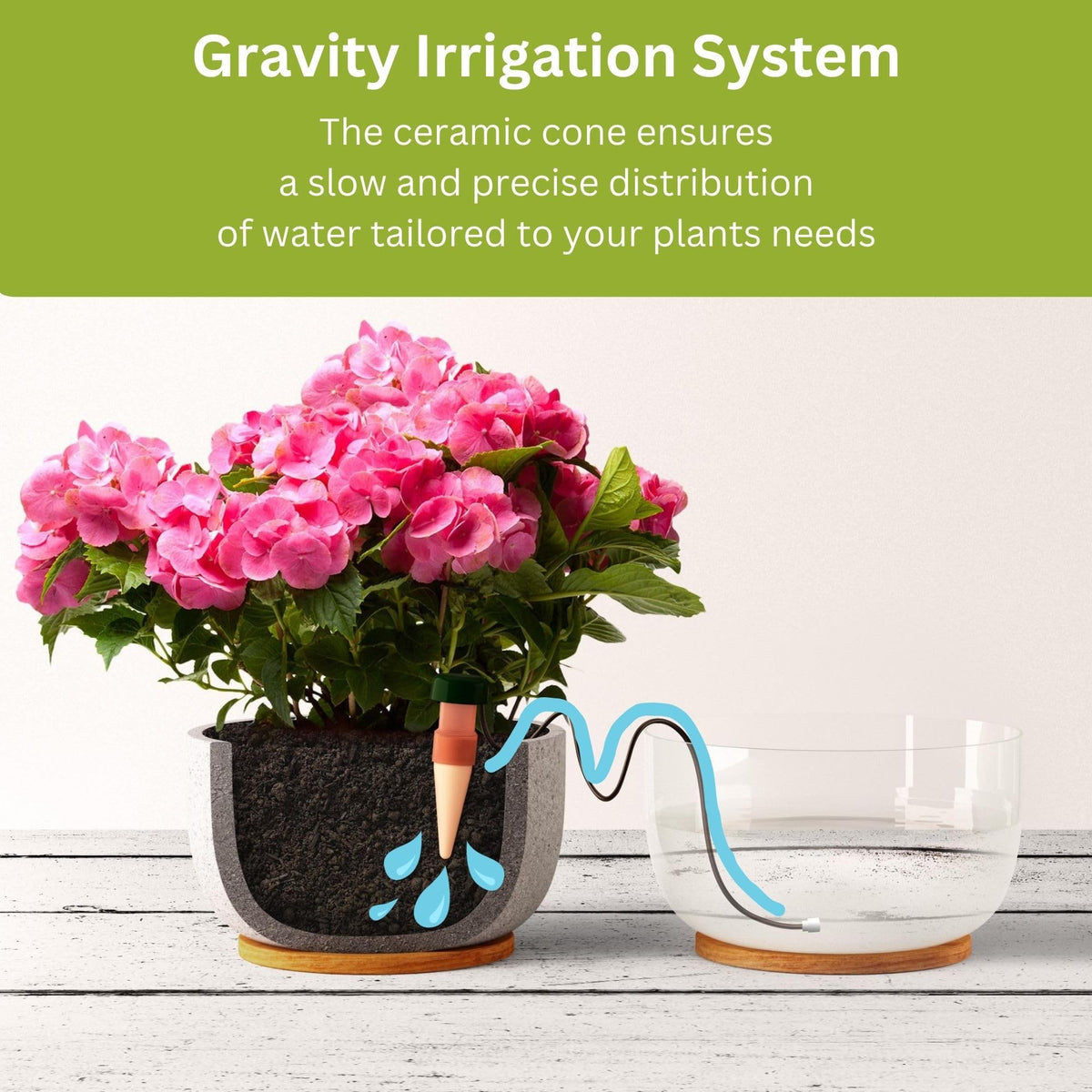 Outdoor garden pots benefiting from Blumat self-watering stakes.