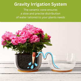 Outdoor garden pots benefiting from Blumat self-watering stakes.