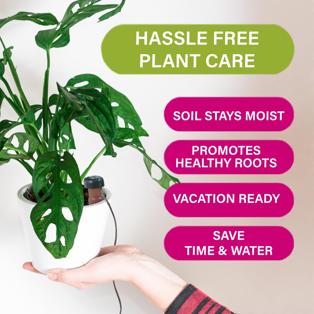 Self-watering system demonstrated with Blumat stakes in use.