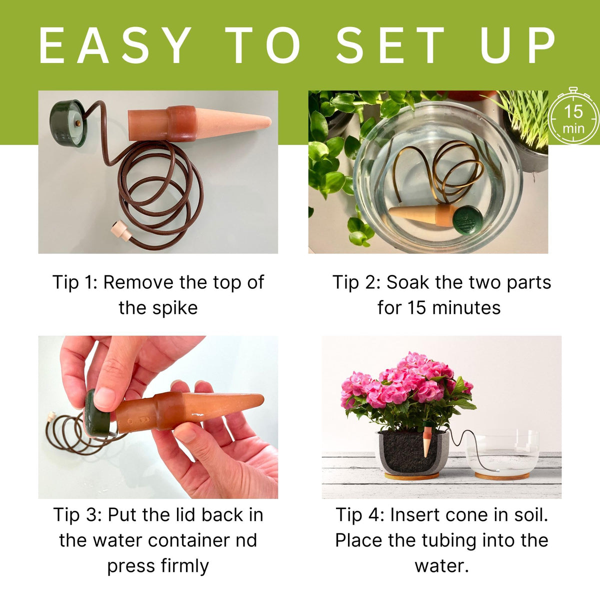 Ceramic cone in action regulating automatic plant watering.