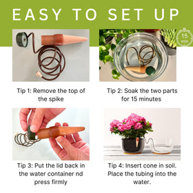 Ceramic cone in action regulating automatic plant watering.