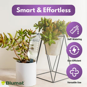 Blumat eco-friendly bottle compatibility enables simple plant care