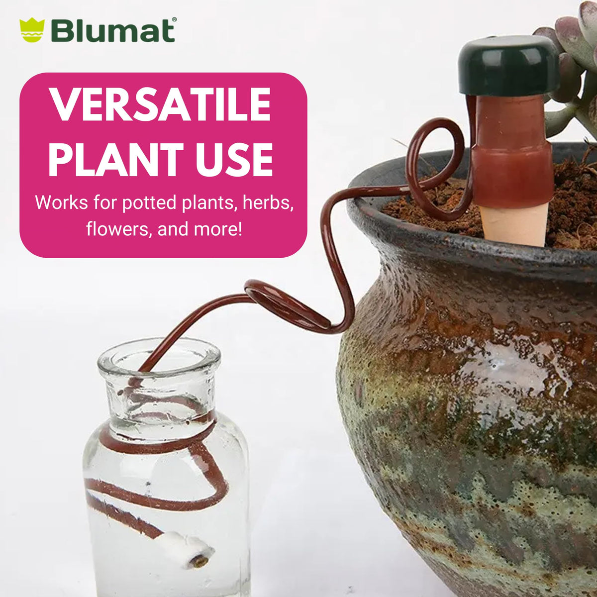 Self-watering planter insert fits a range of pot sizes.