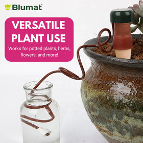 Self-watering planter insert fits a range of pot sizes.