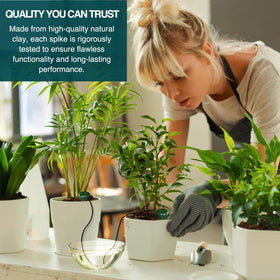 Siphon-driven hydration draws water from the reservoir to plant roots.