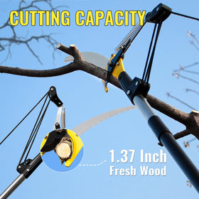 BlumeTrec carbon steel saw blade delivers fast, clean cuts