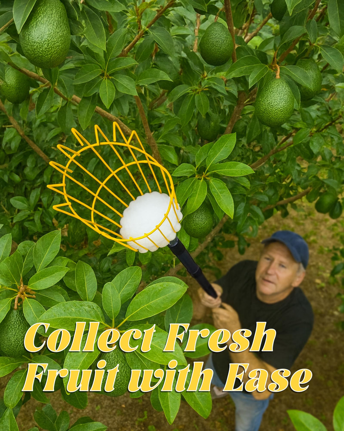 BlumeTrec basket filled with fruit illustrating large capacity